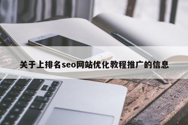 关于上排名seo网站优化教程推广的信息