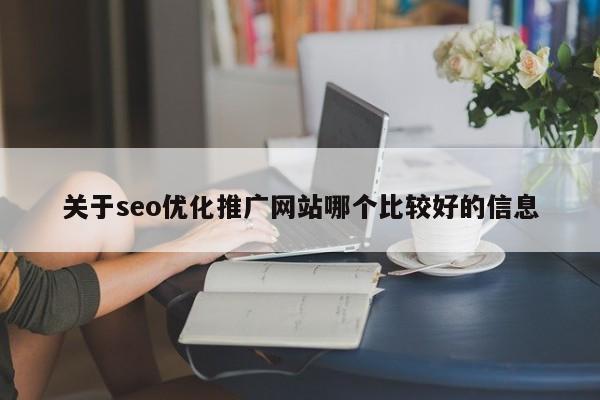 关于seo优化推广网站哪个比较好的信息